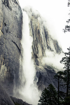 Yosemite Falls-tallest waterfalls in North America - image gratuit #454539 
