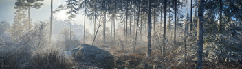 TheHunter: Call of the Wild / Misty Morning - image gratuit #455199 