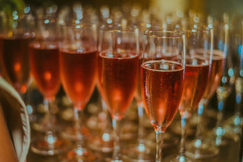 Glass of pink rose champagne - image #455909 gratis