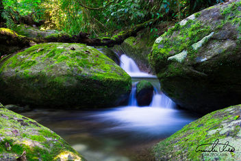 Little Water - Wooroonooran National Park - image gratuit #457449 