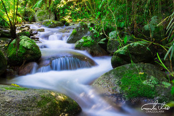 Little Water #3 - Wooroonooran National Park - Free image #457559