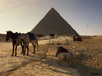 Giza plateau, Cairo, Egypt - бесплатный image #458769