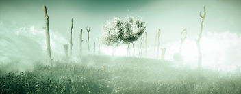 Far Cry 5 / Peace Tree - image gratuit #459569 