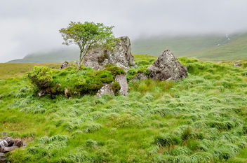 Between a rock and a hard-place within the Delphi Valley, near Leenane, Connemara, Co. Galway, Ireland. - Free image #460859