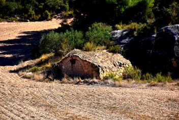 Cabana de pedra seca, l'Albi, les Garrigues, Lleida. - бесплатный image #463509