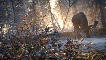 TheHunter: Call of the Wild / Hungry Winter - image gratuit #467929 