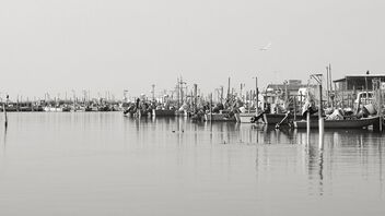 Po river delta. Gorino harbour. - Free image #468249