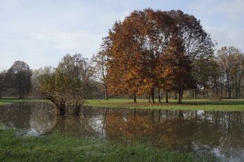 Flooded (Stupinigi-Torino park) - image #469179 gratis