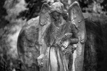 Angel. Staglieno-Genova monumental cemetery. - image gratuit #469309 