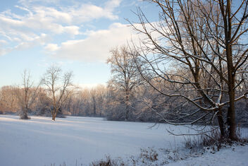 Winter in the park. Best viewed large. - бесплатный image #469809