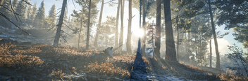 TheHunter: Call of the Wild / A Beautiful Morning - image gratuit #471209 