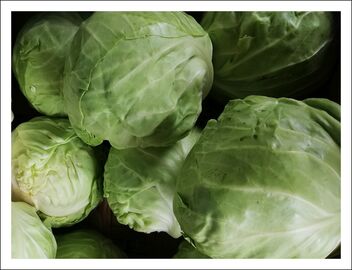 cabbages - image gratuit #471329 
