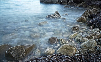 Entre piedras y algas - Free image #473299