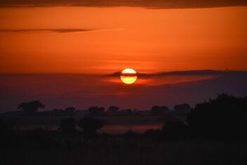 White Nile Sunset - image gratuit #476269 
