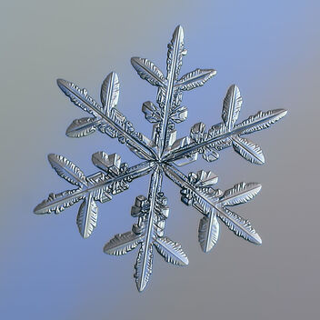 Snowflake - image #481149 gratis