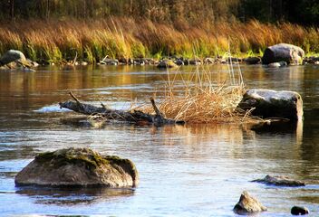 Autumn river view - Free image #484409