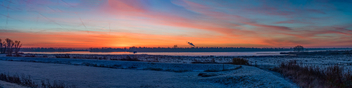 Panorama Sunrise - Biesbosch , Dordrecht - Free image #485989