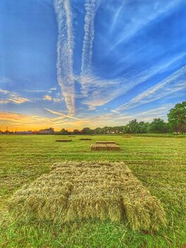 Coulter Lane Farms - image #491679 gratis