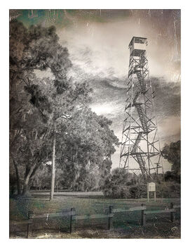 Hamner Fire Tower, Hillsborough County, Florida - image gratuit #493729 