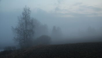 Foggy evening - image #498179 gratis