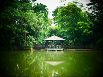 Singapore Botanic Gardens - image gratuit #500109 
