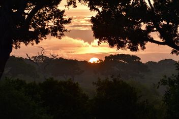 Dawn in Sri Lanka - Kostenloses image #503929