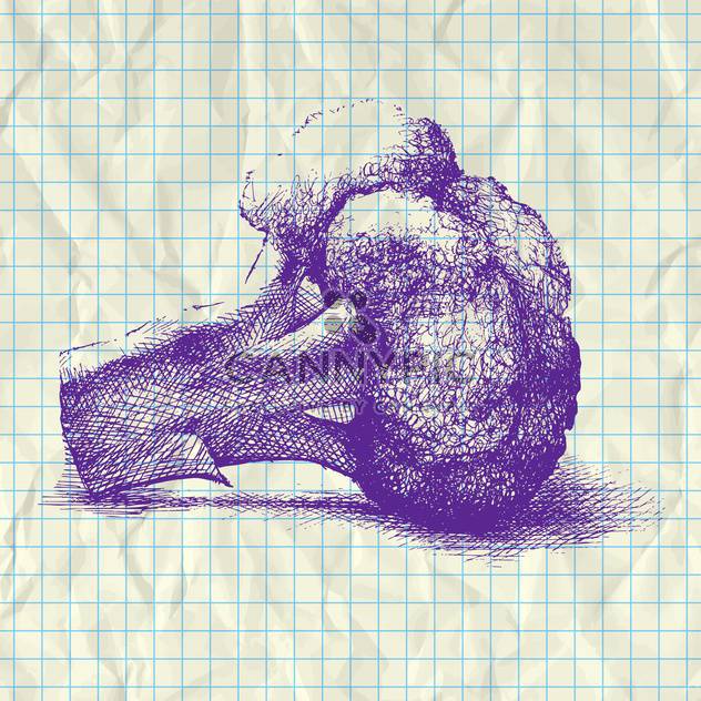 sketch illustration of cauliflower on notebook paper - vector #126999 gratis