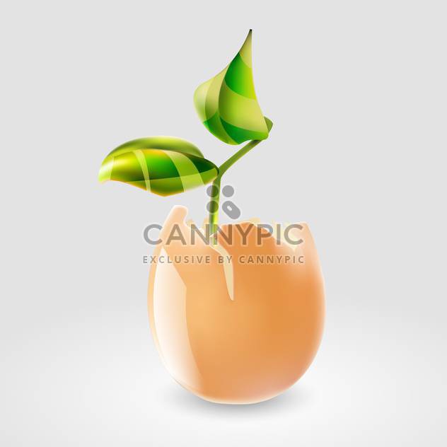 Vector illustration of green plant in eggshell on grey background - Free vector #127339
