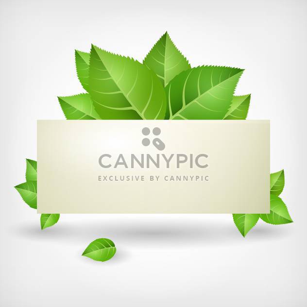 green leaves with empty card for text place on white background - бесплатный vector #127759