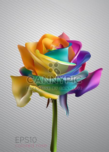 Vector illustration of beautiful colorful rose - Free vector #128959
