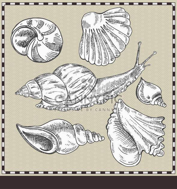 snail and shells in vintage style illustration - vector gratuit #135179 
