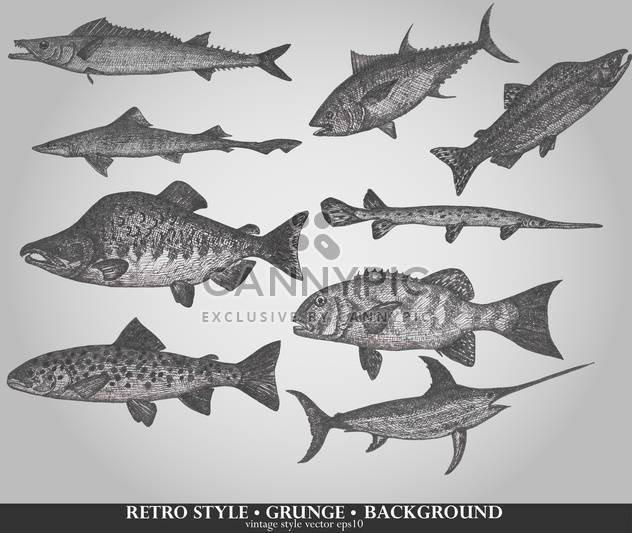 set of sea fish in retro style vector illustration - Free vector #135209