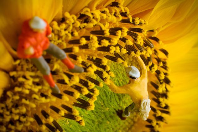 Miniature climbers on sunflower - Kostenloses image #136369