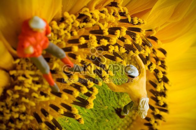 Miniature climbers on sunflower - Free image #136369