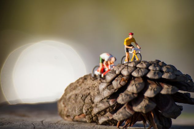 Miniature cyclists on pine cones - image gratuit #136389 