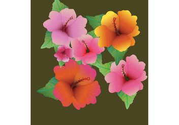 Flower Vector - Hibiscus Flowers - Free vector #139329