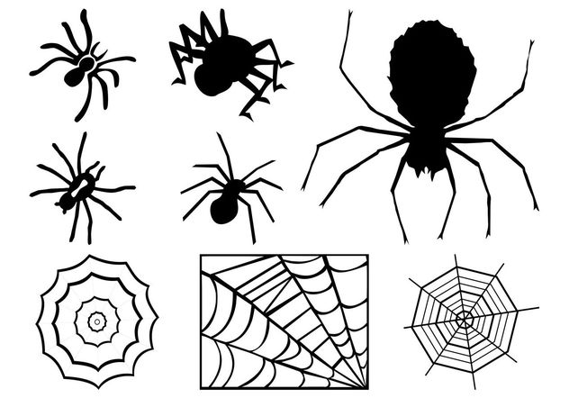 Spiders And Webs Graphics - бесплатный vector #140249