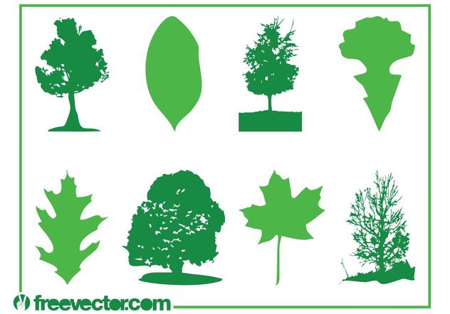 Leaves And Trees - Kostenloses vector #146429