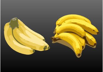 Bananas - vector gratuit #147459 