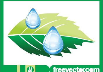 Leaf And Drops Of Water - vector #152799 gratis