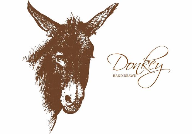 Free Hand Drawn Donkey Portrait Vector - бесплатный vector #156689