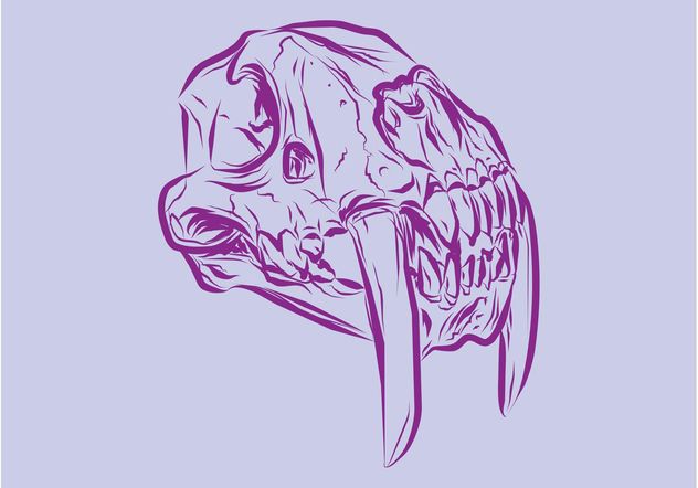 Animal Skull Vector Free Vector Download 156879 | CannyPic