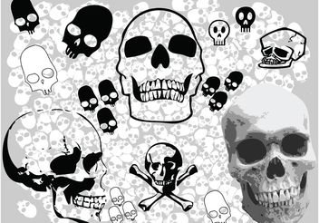 Skulls Vectors - vector gratuit #157369 