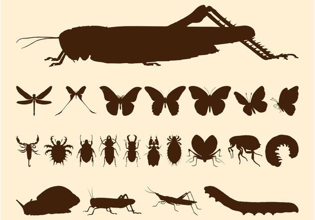 Insects Silhouette Set - Free vector #157599
