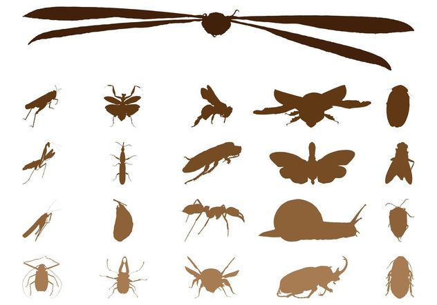Insect Silhouettes Graphics - Kostenloses vector #157619