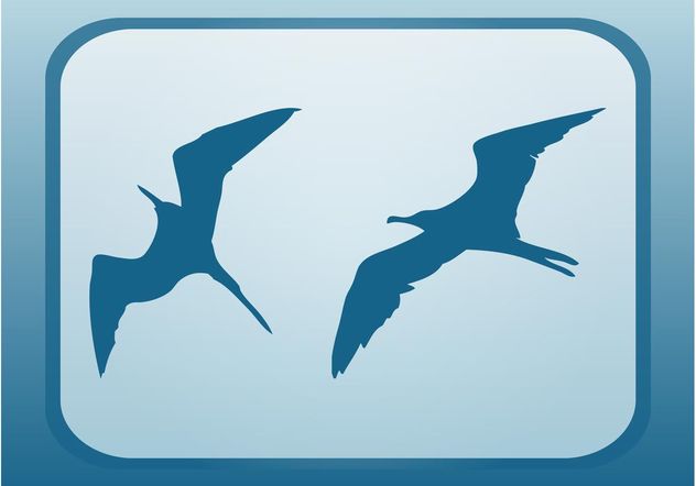 Flying Seagulls - vector #157719 gratis