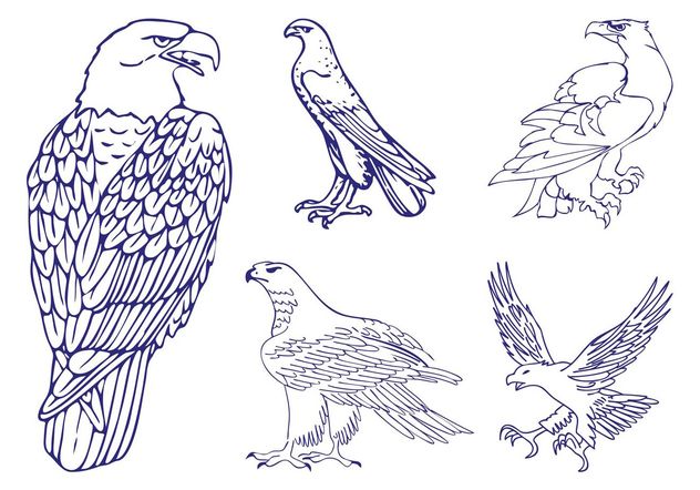 Eagle Graphics Set - vector gratuit #157769 