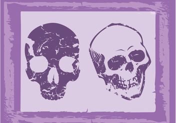 Old Grunge Skulls - Kostenloses vector #158659