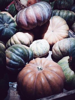 Heap of pumpkins - бесплатный image #183259