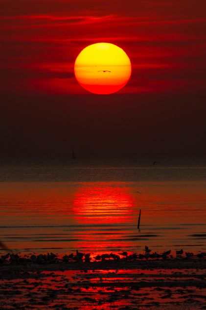 Red sunset - image gratuit #183509 